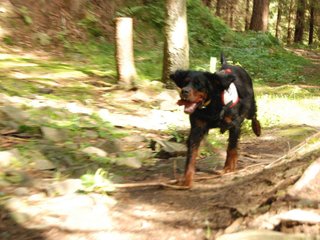 2009-08-22_ntb_6114