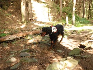 2009-08-22_ntb_6115