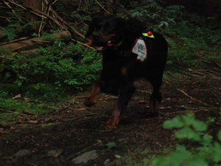 2009-08-22_ntb_6129