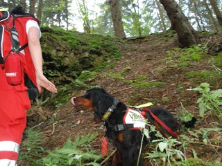 2009-08-22_ntb_6148