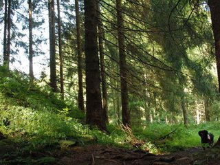 2009-08-22_ntb_6161
