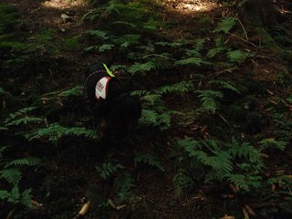 2009-08-22_ntb_6164
