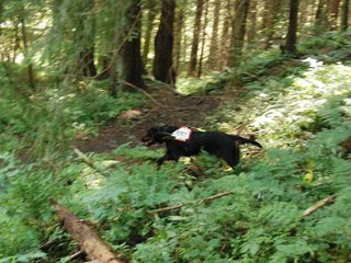 2009-08-22_ntb_6166