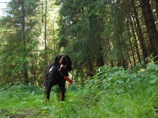 2009-08-22_ntb_6169