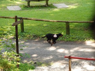 2009-08-22_ntb_6173