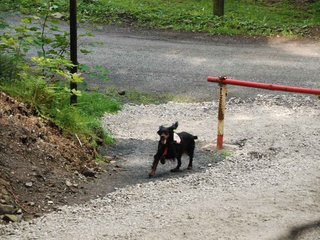 2009-08-22_ntb_6174