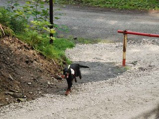 2009-08-22_ntb_6175