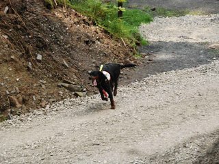 2009-08-22_ntb_6176