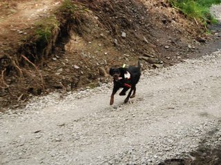 2009-08-22_ntb_6177
