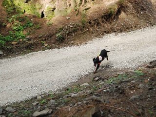 2009-08-22_ntb_6178
