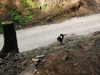 2009-08-22_ntb_6179