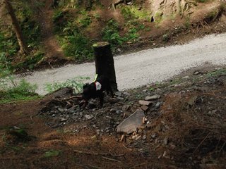 2009-08-22_ntb_6182
