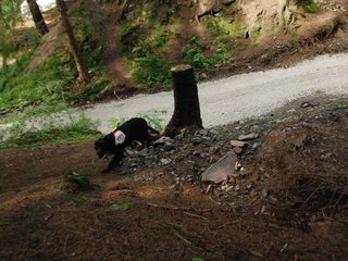 2009-08-22_ntb_6183
