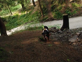 2009-08-22_ntb_6184