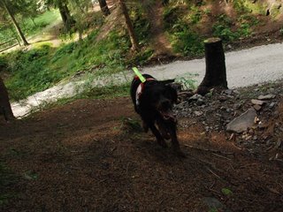 2009-08-22_ntb_6185