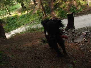 2009-08-22_ntb_6186