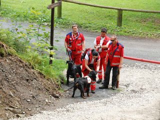 2009-08-22_ntb_6187
