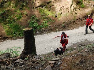 2009-08-22_ntb_6196