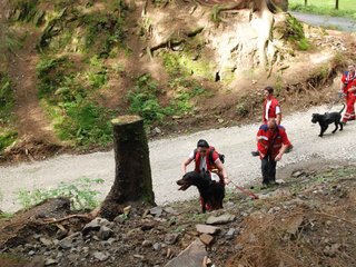 2009-08-22_ntb_6201
