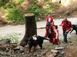 2009-08-22_ntb_6206