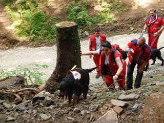 2009-08-22_ntb_6208