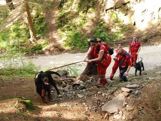 2009-08-22_ntb_6209