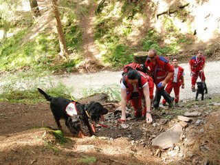 2009-08-22_ntb_6211