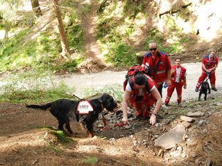 2009-08-22_ntb_6212