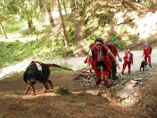 2009-08-22_ntb_6215