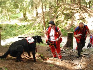 2009-08-22_ntb_6221