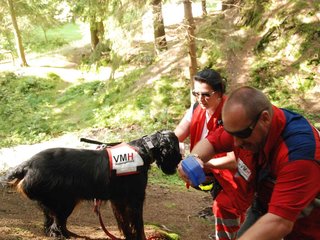 2009-08-22_ntb_6225