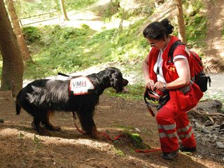 2009-08-22_ntb_6236