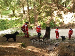 2009-08-22_ntb_6243