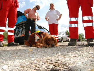 2009-08-22_ntb_6249