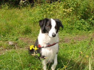 2009-08-22_ntb_6254
