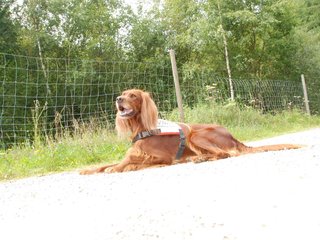 2009-08-22_ntb_6262