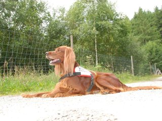 2009-08-22_ntb_6263