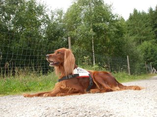 2009-08-22_ntb_6264