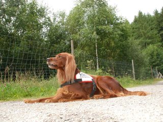 2009-08-22_ntb_6265