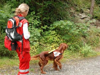 2009-08-22_ntb_6271