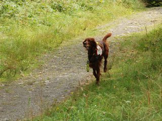 2009-08-22_ntb_6295