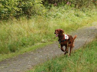 2009-08-22_ntb_6296
