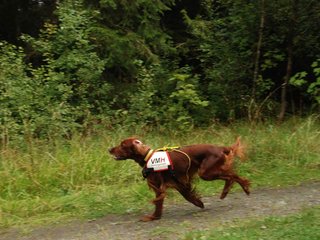 2009-08-22_ntb_6298