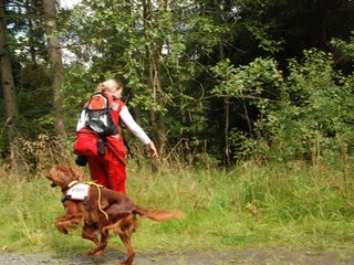 2009-08-22_ntb_6299
