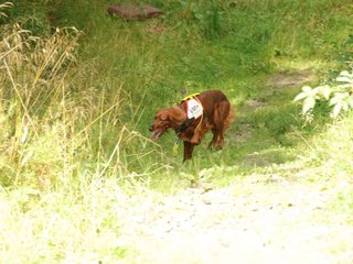 2009-08-22_ntb_6300