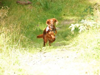 2009-08-22_ntb_6301