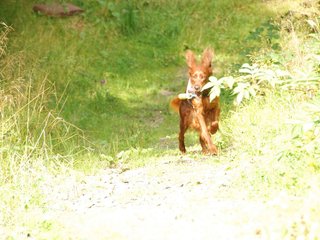 2009-08-22_ntb_6302