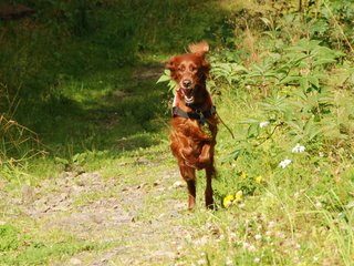 2009-08-22_ntb_6304