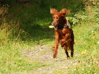 2009-08-22_ntb_6305