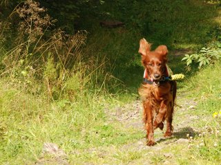 2009-08-22_ntb_6306